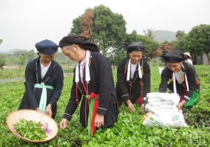 전통의상, 산지우(Sán Dìu) 소수민족 주민들의 특징적인 문화