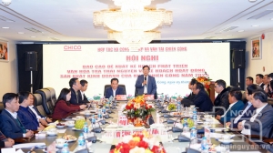 타이응우옌, 고대 차를 국가유산의 나무로 선정한데 필요가 있다