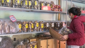 설 앞둔 고산지대 특산물 활기