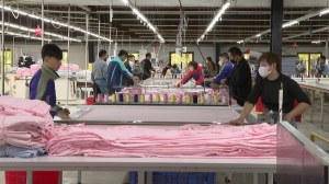 의류 생산 증가