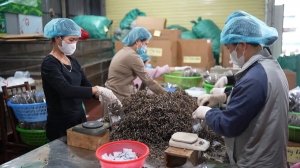 농업 분야 협동조합의 성장세