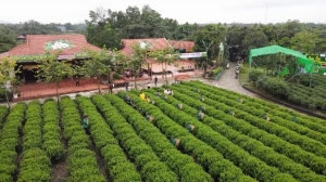 관광을 핵심 경제 산업으로 육성