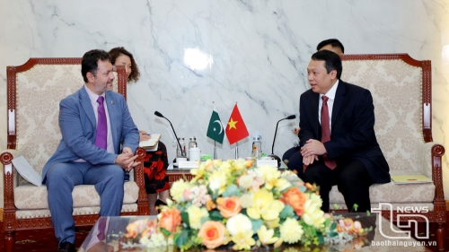 타이응우옌의 차를 파키스탄에 수출하여 합의를 곧 체결