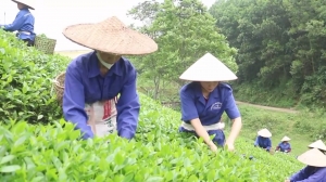 베트남우수농민상수상자