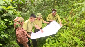산림 보호 업무에 과학기술 적용