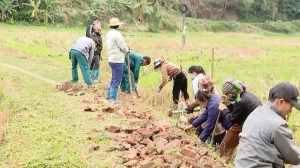 껌 장의 새 농촌 모습